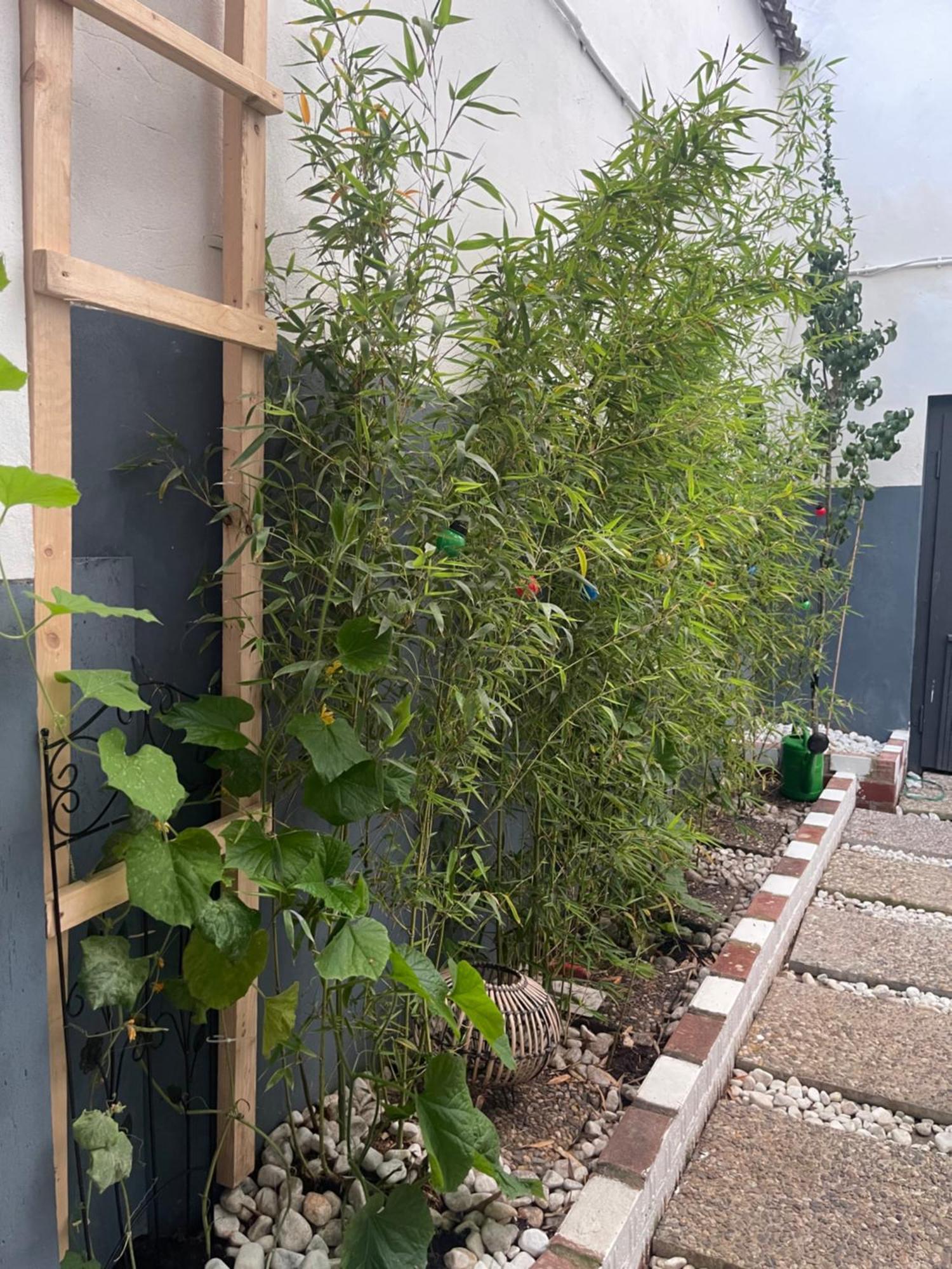 Y Hoa-Ferienwohnung Artern Exteriör bild